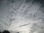 Clouds over Port Douglas were in a beautiful Cirrocumulus formation.