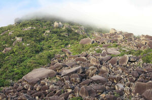 (Above and below) The granite boulders of Cape Melville. PICS: Conrad Hoskin