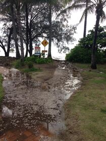 The Esplanade at Four Mile, January 30. (Ben Volgers)