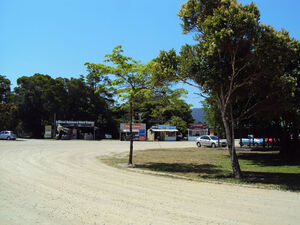 Daintree