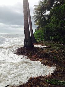 Four Mile Beach, January 29. (Justine Murray)