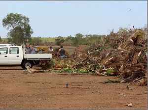 Free green waste disposal in Port Douglas