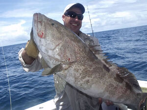 Plenty of fish to catch around Port Douglas but make sure you're in the right zone.