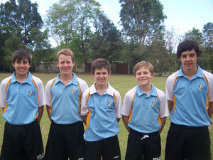 Young cricketeres